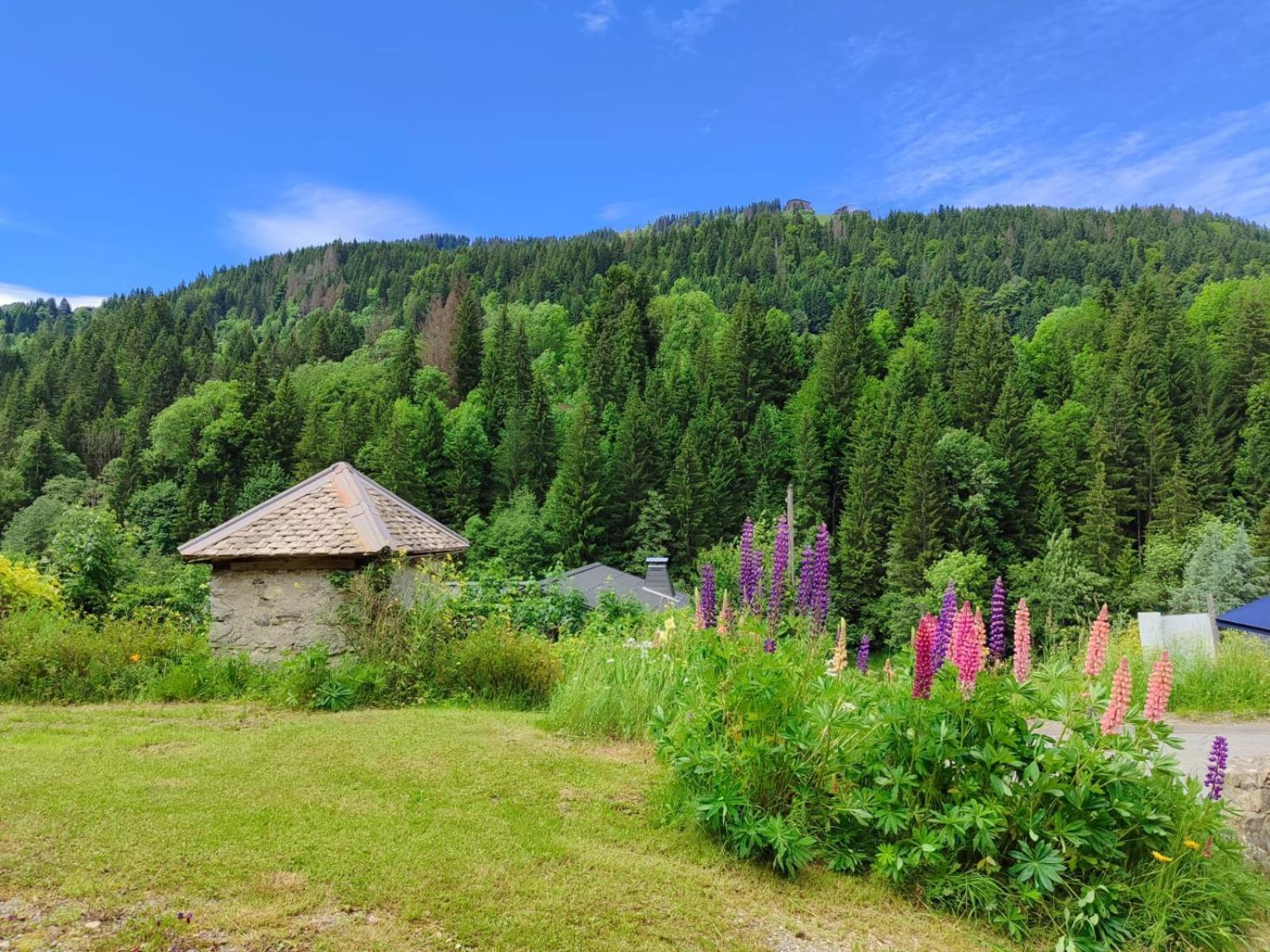 Appartement Meuble Classe 3 Etoiles De 72 M2, 2 Chambres Morzine Exterior foto